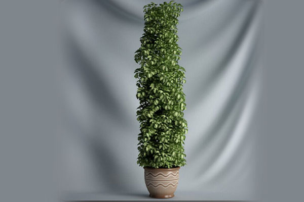 C4D绿植盆栽模型盆景模型植物模型下载