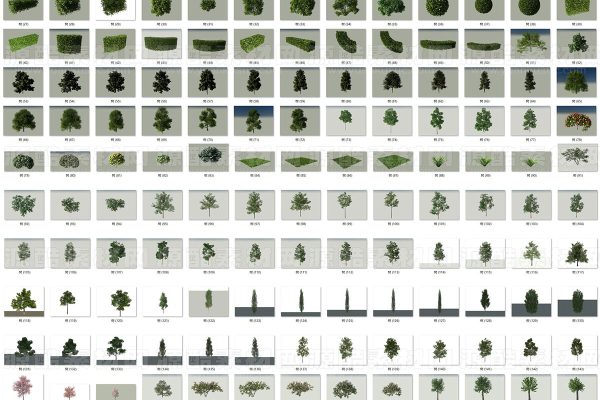 C4D模型-179个树木模型植物模型下载