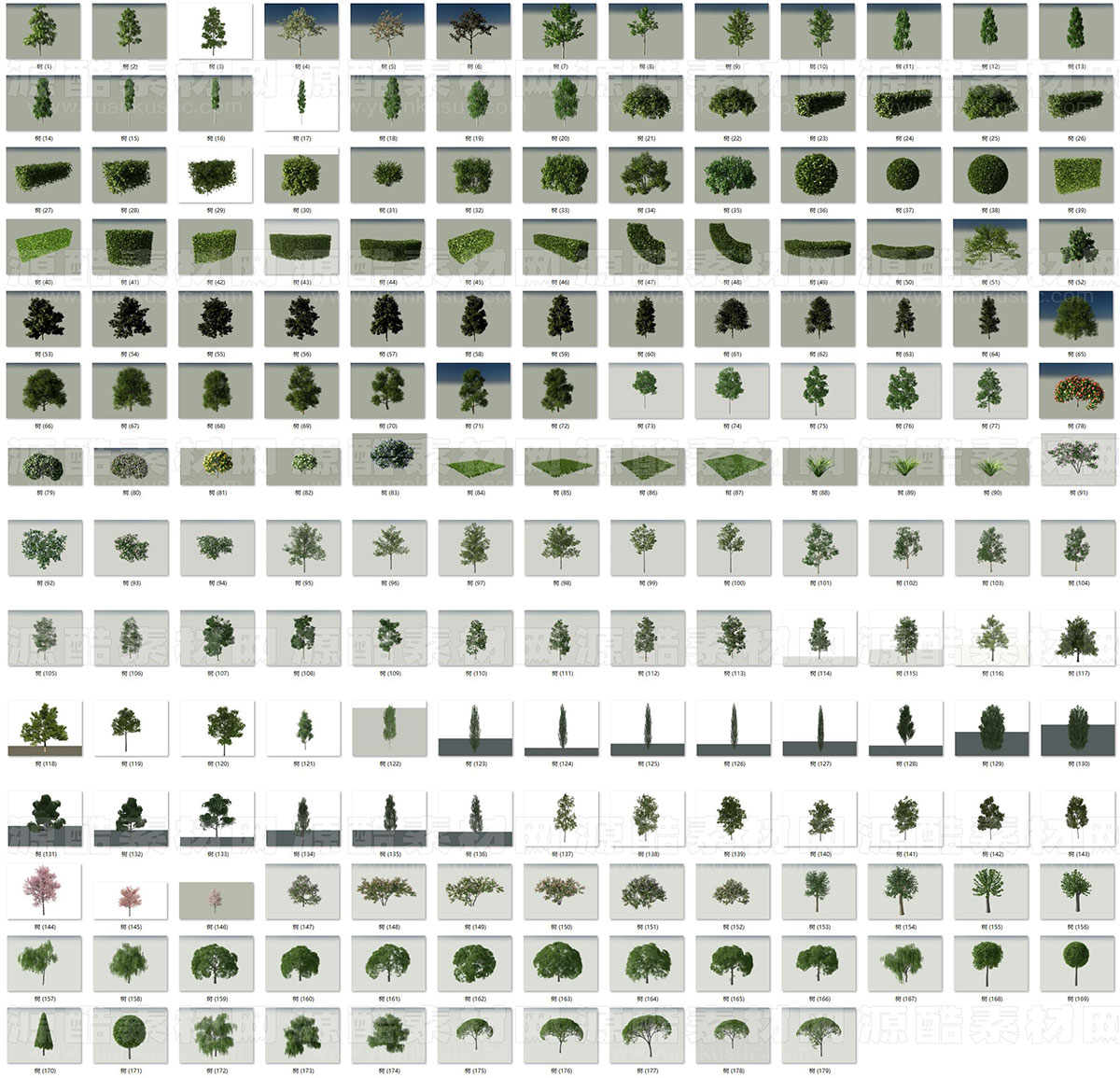 C4D模型-179个树木模型植物模型下载