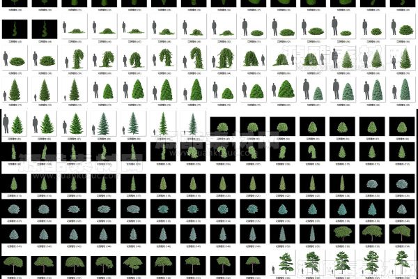 C4D188个户外花园植物模型树木模型下载