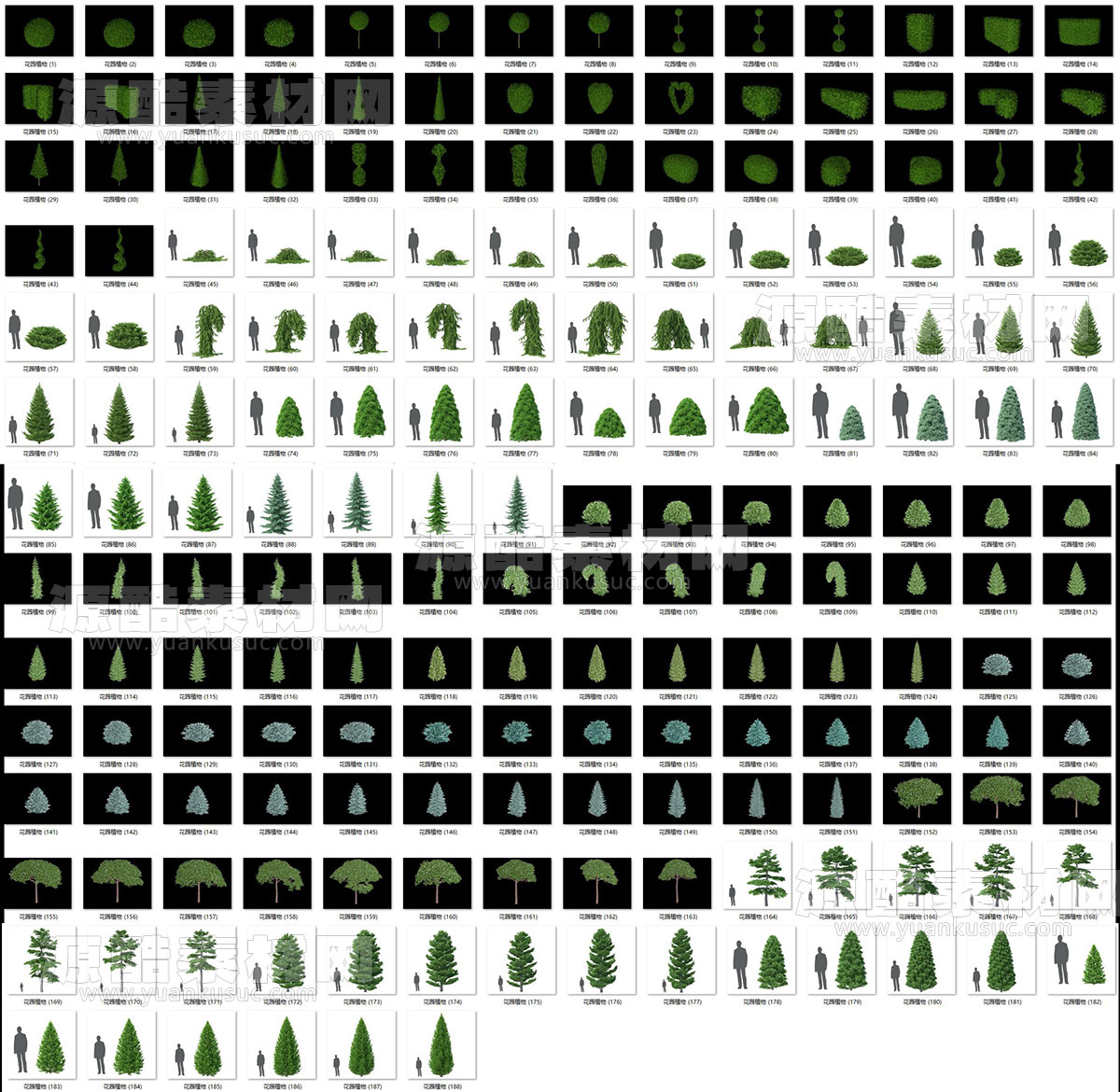 C4D188个户外花园植物模型树木模型下载
