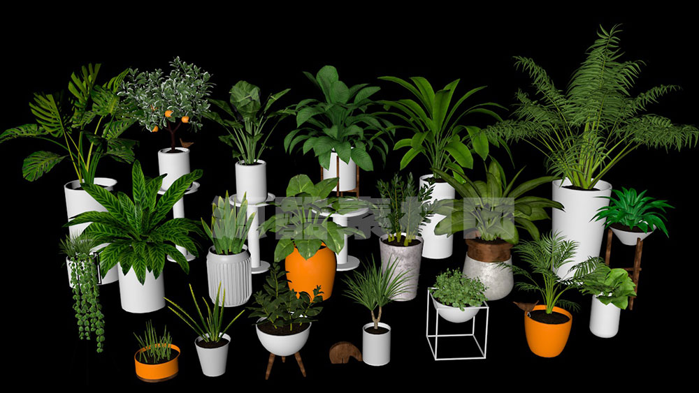 C4D模型-20个植物盆栽模型盆景绿植模型下载