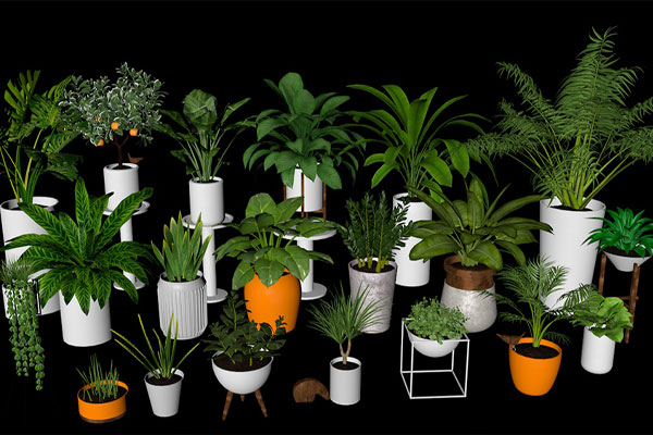 C4D模型-20个植物盆栽模型盆景绿植模型下载