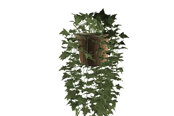 常春藤盆栽模型盆景模型绿植C4D模型素材下载