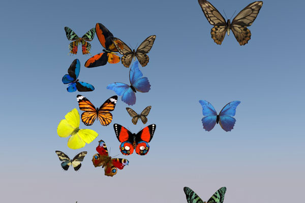 C4D15个蝴蝶模型动物模型下载