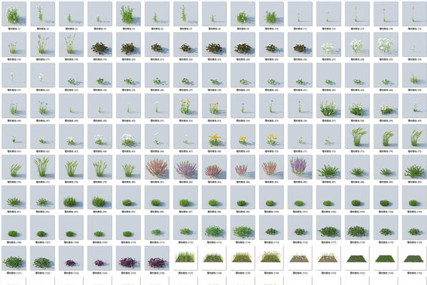 226个草地模型花丛模型植物C4D模型下载