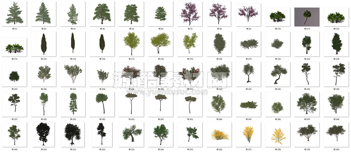 C4D模型-60个树木模型植物模型下载