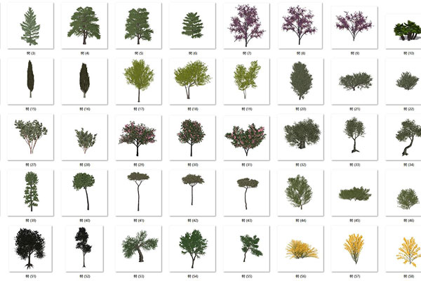 C4D模型-60个树木模型植物模型下载