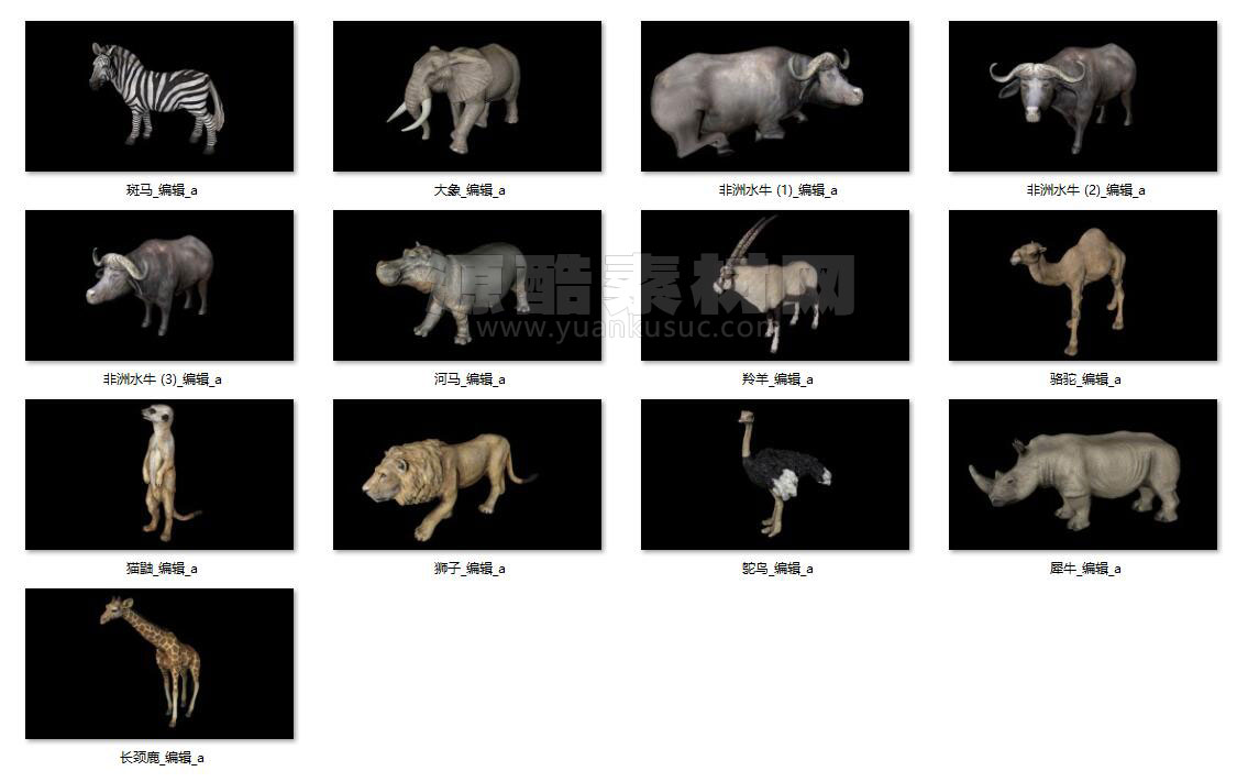 C4D模型-13个非洲野生动物模型