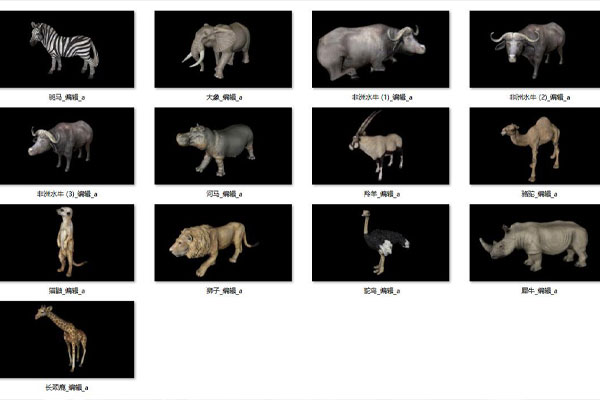 C4D模型-13个非洲野生动物模型