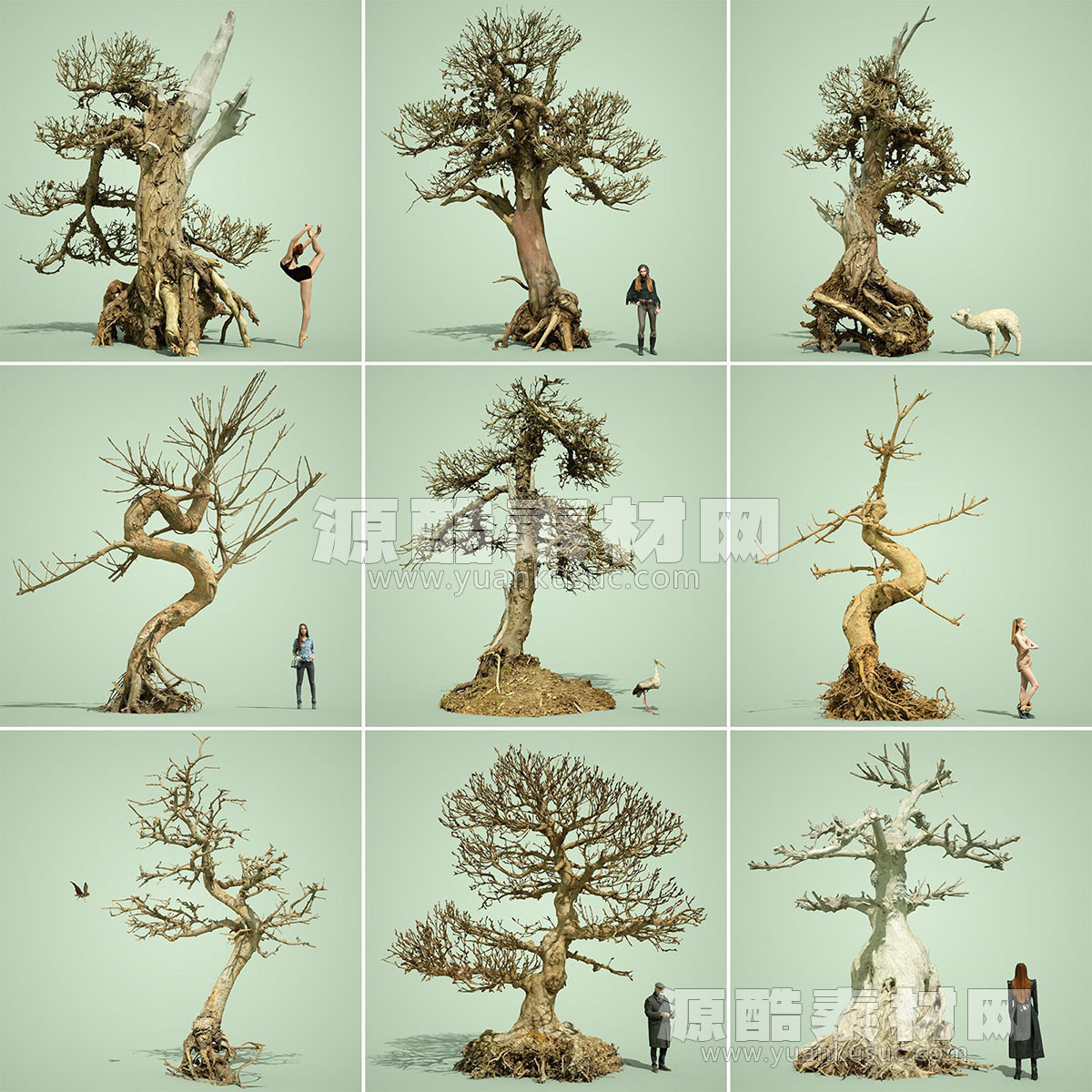 9款枯死盆景树模型枯树3D模型下载
