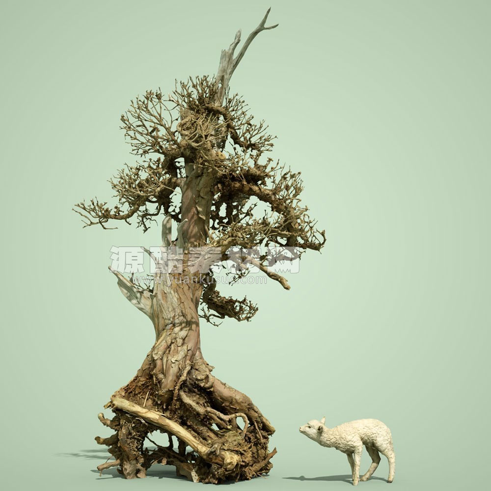 9款枯死盆景树模型枯树3D模型下载
