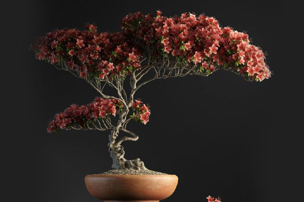 C4D植物模型-室内盆景模型红色花树盆栽模型下载