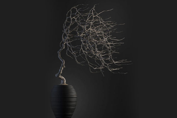 C4D盆栽模型盆景模型枯树模型下载