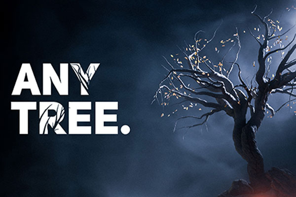 Blender自定义树木植物生长插件 Anytree v1.6.0