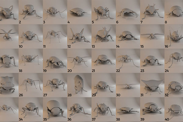 60个白模昆虫模型动物C4D模型下载