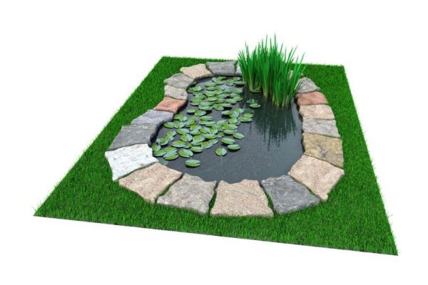 池塘模型荷叶水草模型C4D模型