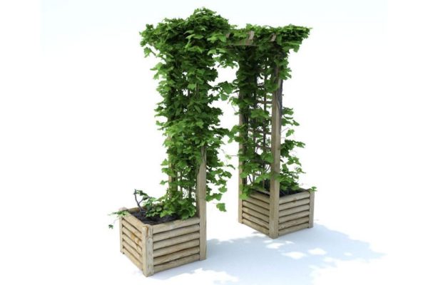 常春藤模型拱门模型C4D模型下载