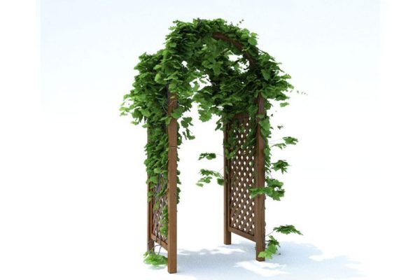 常春藤模型拱门模型C4D模型下载