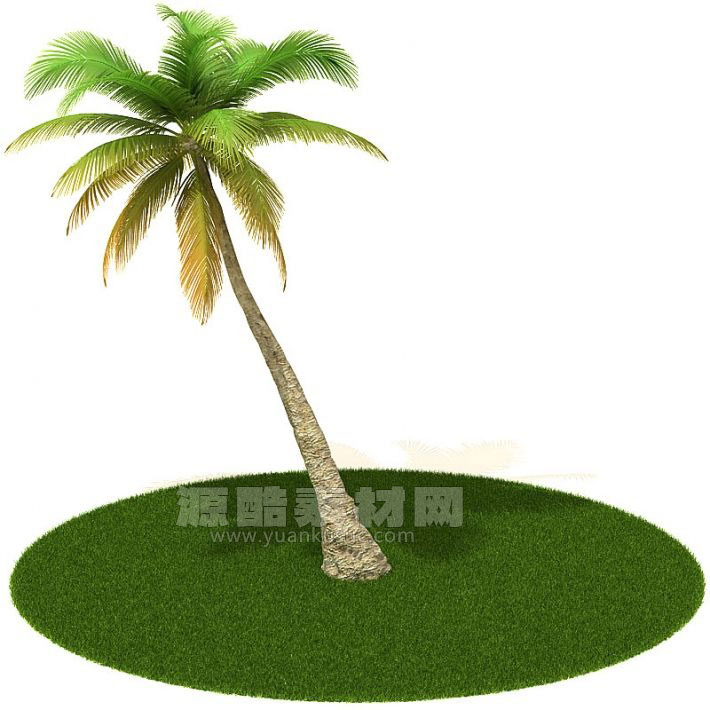 C4D倾斜的椰子树模型植物模型下载