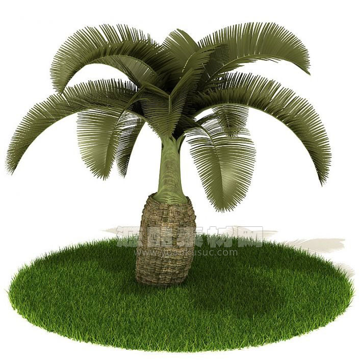 C4D酒瓶椰子树模型植物模型下载