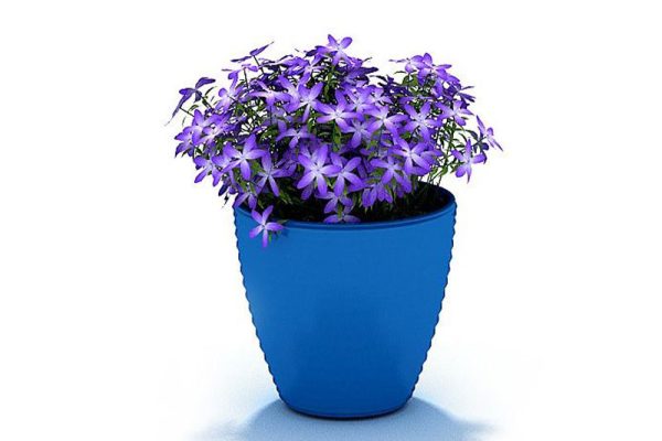 C4D花盆模型鲜花模型盆栽模型下载