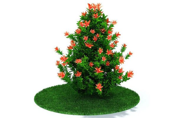 C4D植物模型-小树模型花树模型下载