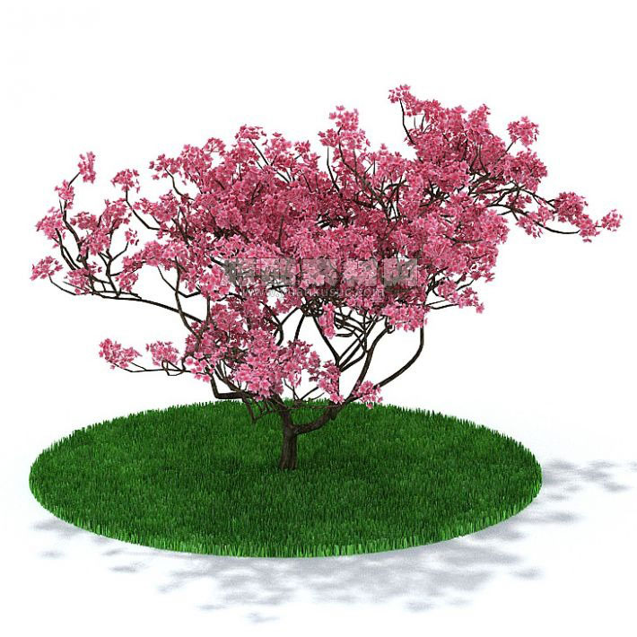 花树模模型树木模型C4D模型下载