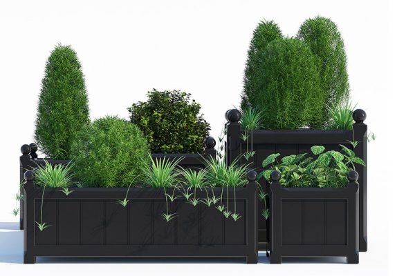 C4D模型-盆栽盆景模型绿植模型下载