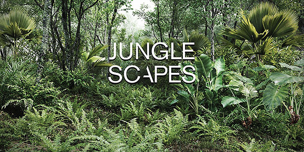 Blender热带雨林丛林植物预设库 Jungle Scapes