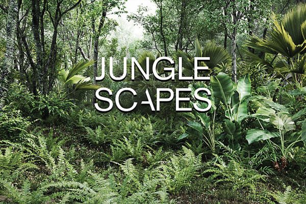 Blender热带雨林丛林植物预设库 Jungle Scapes
