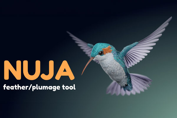 Blender预设-几何节点鸟类羽毛生成器 Nuja – Feather And Plumage Tools