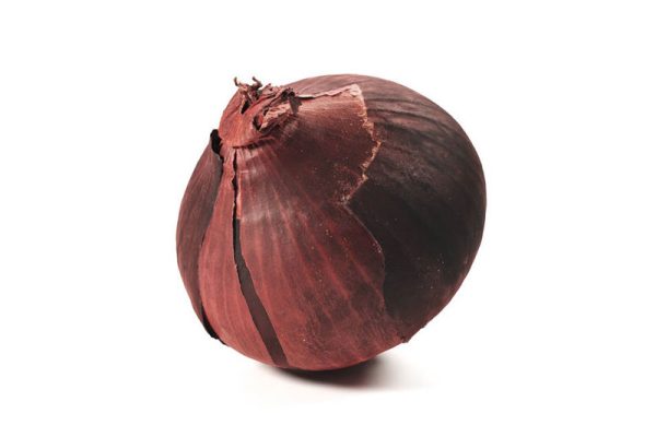 C4D模型-洋葱模型蔬菜模型下载