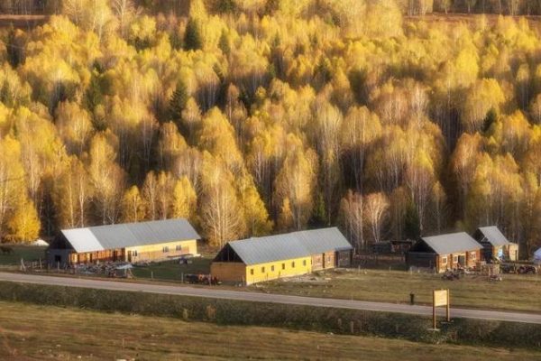 这三种调色方法！让你能感受到秋意的魅力