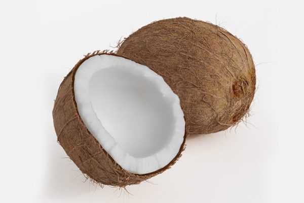 C4D模型-椰子模型水果模型