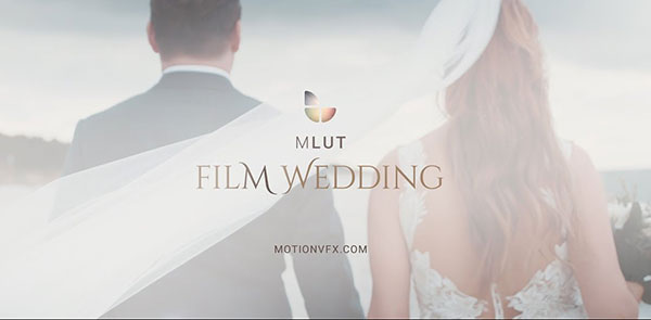 LUTs预设-25个专业婚礼视频调色预设 MotionVFX mLUT Film Wedding