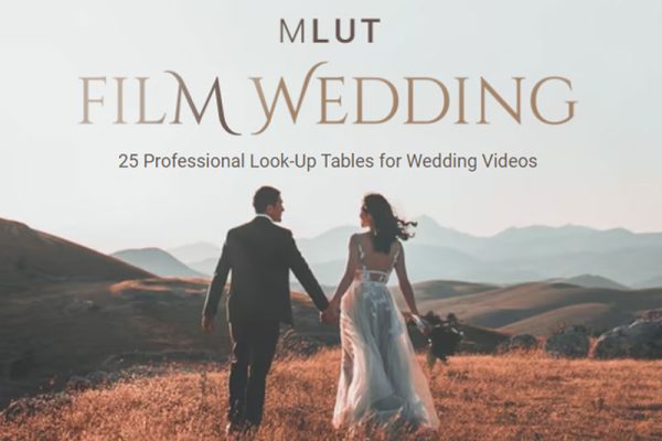 LUTs预设-25个专业婚礼视频调色预设 MotionVFX mLUT Film Wedding