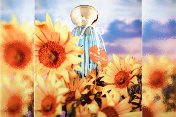 C4D太阳花香水场景渲染工程向日葵模型