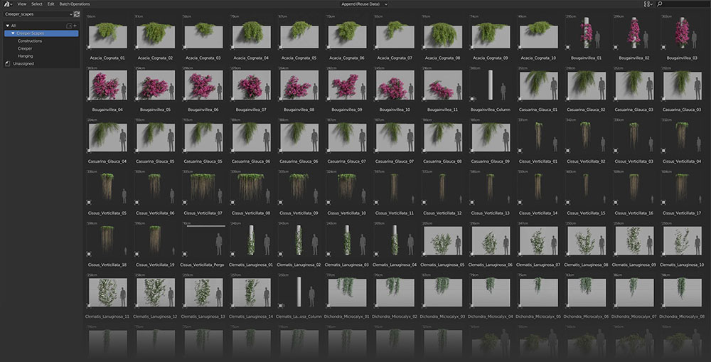 Blender预设-437组爬藤类植物花朵3D模型资产预设 Creeper Scapes