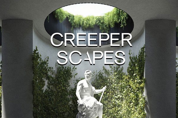 Blender预设-437组爬藤类植物花朵3D模型资产预设 Creeper Scapes