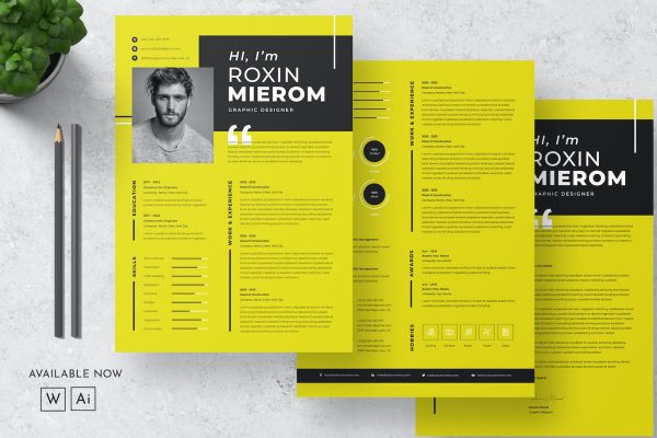 双色调个人简历模板 Resume Word