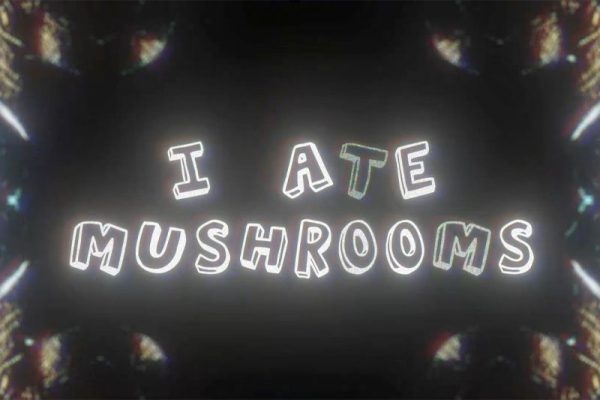 AE插件-人工智能AI神经网络图像生成器 I Ate Mushrooms v1.5.4 Win