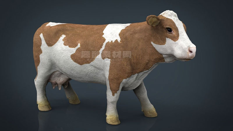 C4D模型-母牛模型动物模型