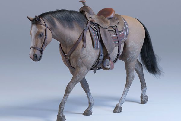 C4D模型-带绑定马模型动物模型下载