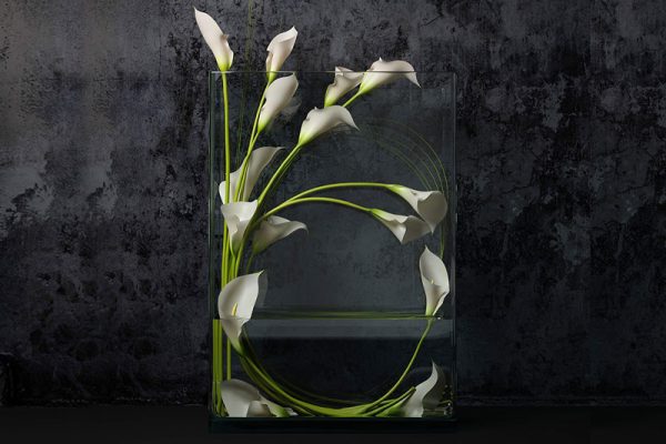 C4D模型-马蹄莲模型鲜花模型花卉模型下载