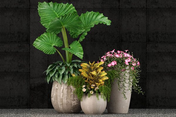 C4D落地盆栽模型鲜花模型水泥花盆模型下载