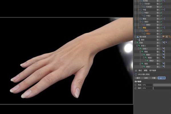 C4D模型-带绑定真人手模型真实女人手模型下载