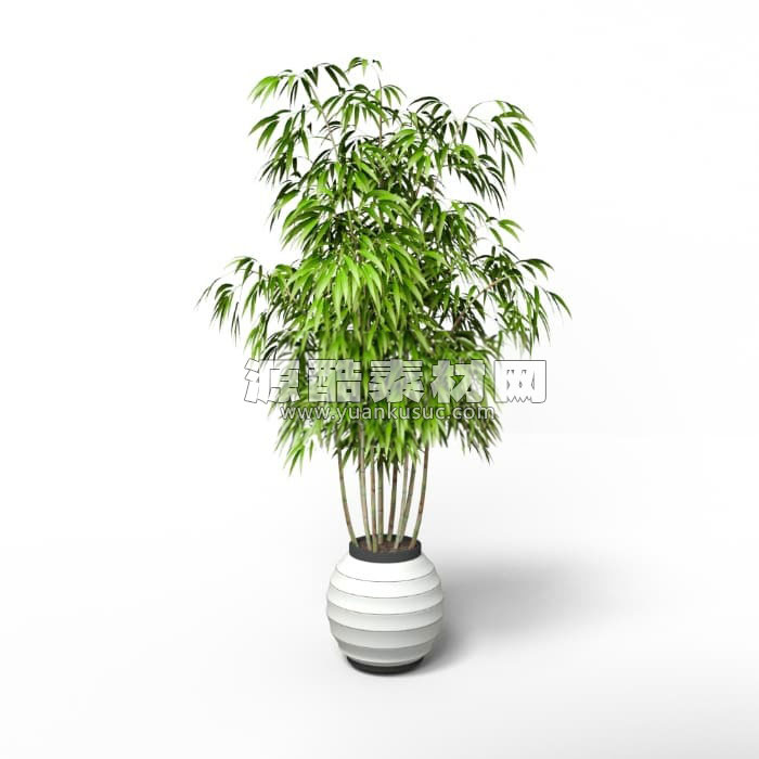 盆栽竹子模型绿植C4D模型下载