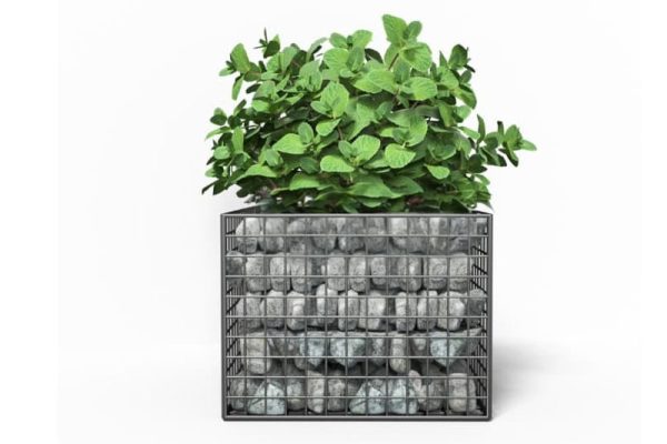 盆景盆栽模型绿植C4D模型下载