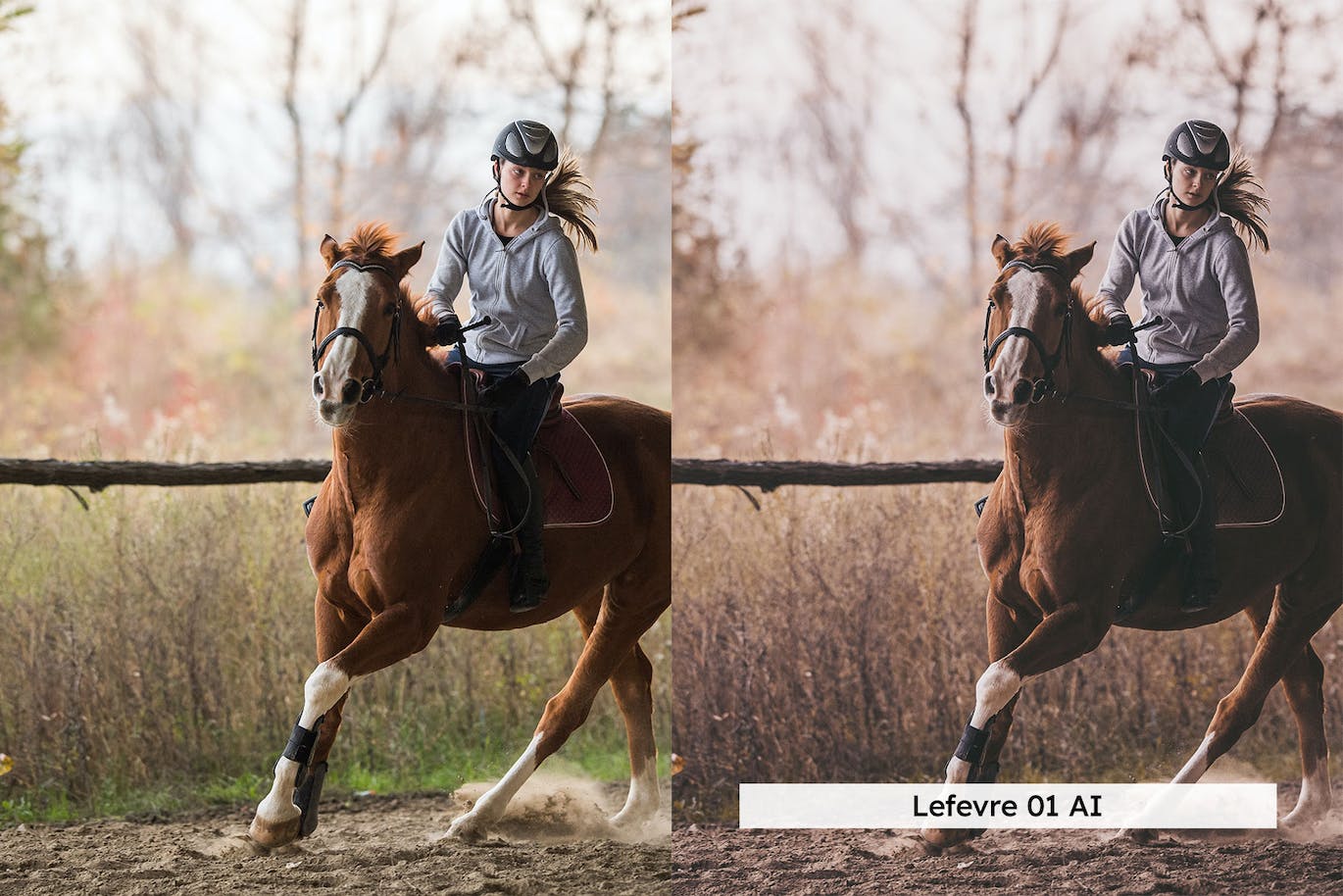 20 个马术运动/体育摄影后期修图LR预设和LUTs预设 20 Equestrian Lightroom Presets and LUTs
